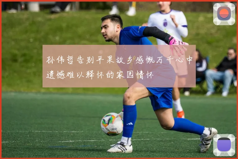 孙伟哲告别平果故乡感慨万千心中遗憾难以释怀的家园情怀